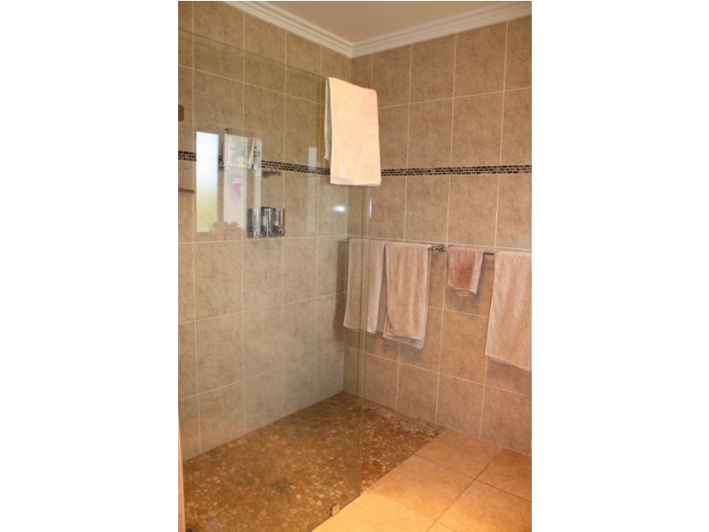 159 Bellevue Road, Tenterfield NSW 2372