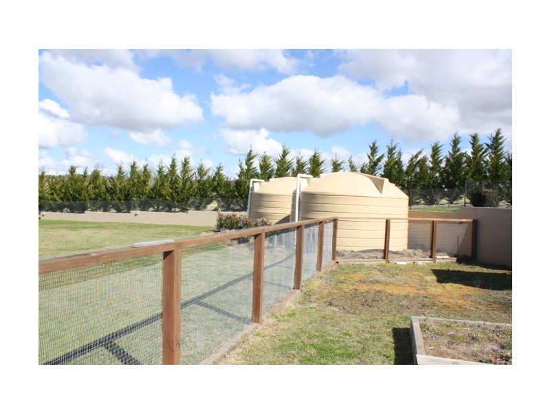 159 Bellevue Road, Tenterfield NSW 2372