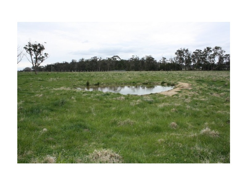 Tenterfield NSW 2372