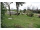 Tenterfield NSW 2372