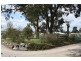 Tenterfield NSW 2372