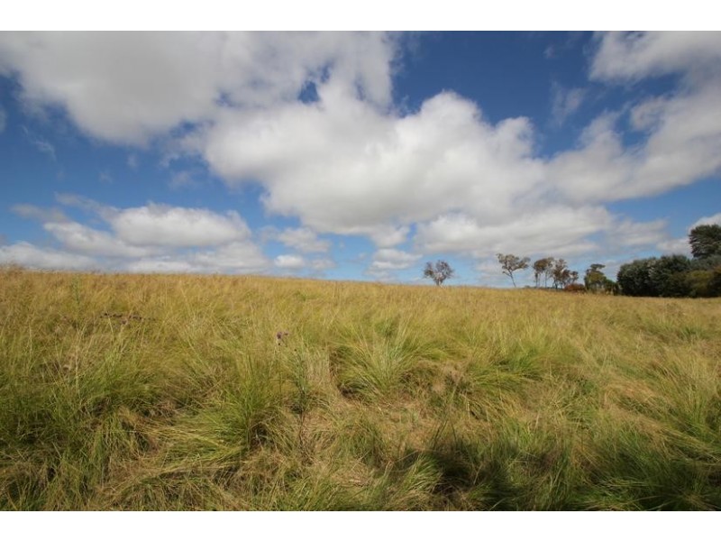 Tenterfield NSW 2372