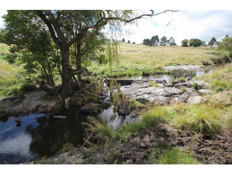 Tenterfield NSW 2372