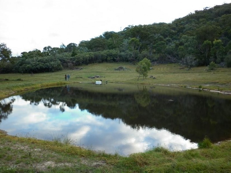 Tenterfield NSW 2372