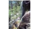 Tenterfield NSW 2372
