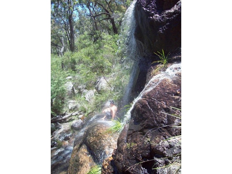 Tenterfield NSW 2372