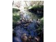 Tenterfield NSW 2372