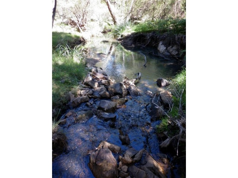 Tenterfield NSW 2372