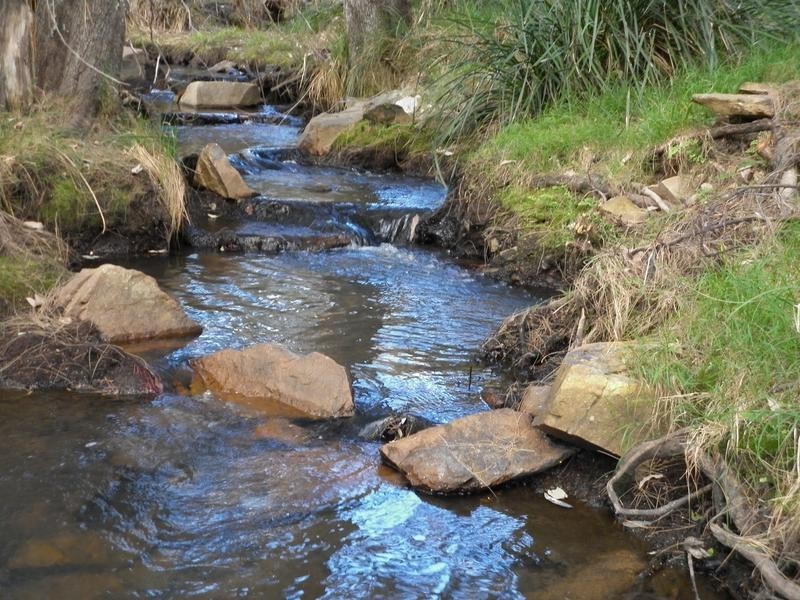 Tenterfield NSW 2372