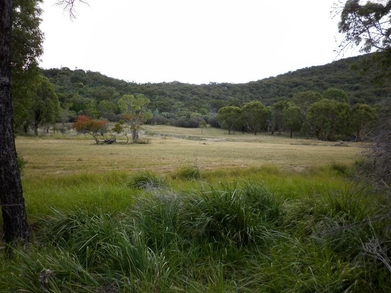 Tenterfield NSW 2372