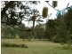 Tenterfield NSW 2372