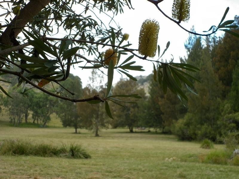 Tenterfield NSW 2372