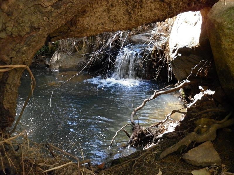 Tenterfield NSW 2372