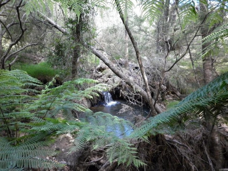 Tenterfield NSW 2372
