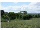 9 Millers Lane, Tenterfield NSW 2372