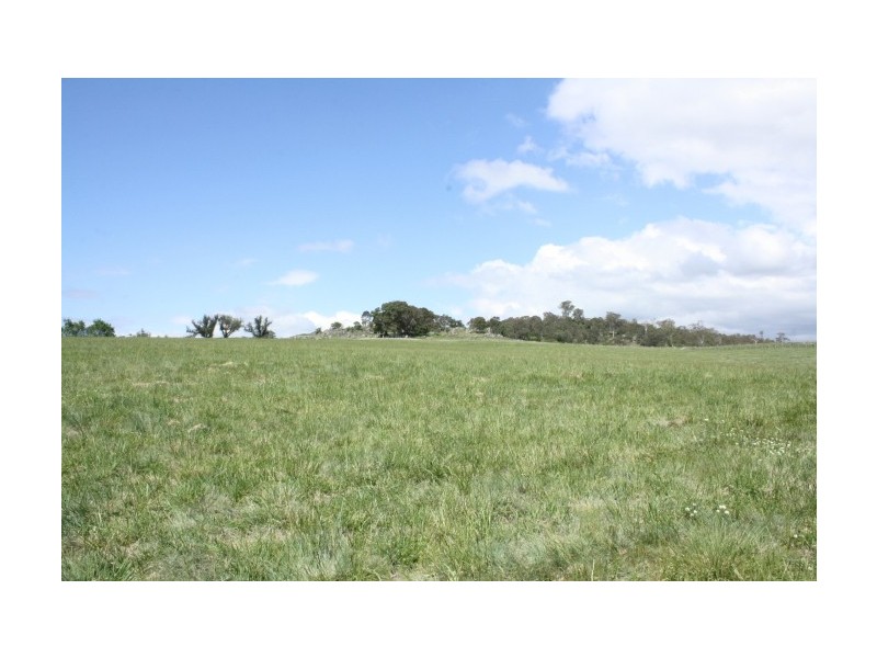 11 Millers Lane, Tenterfield NSW 2372