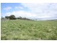11 Millers Lane, Tenterfield NSW 2372