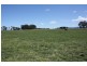 Tenterfield NSW 2372