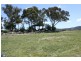 Tenterfield NSW 2372