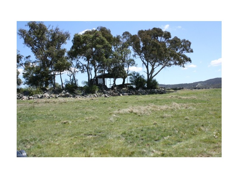 Tenterfield NSW 2372