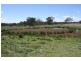 Tenterfield NSW 2372