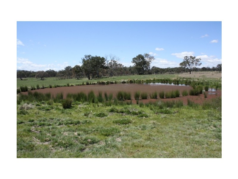 Tenterfield NSW 2372