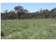 Tenterfield NSW 2372