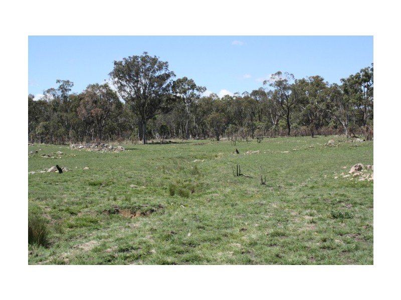 Tenterfield NSW 2372