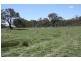 Tenterfield NSW 2372
