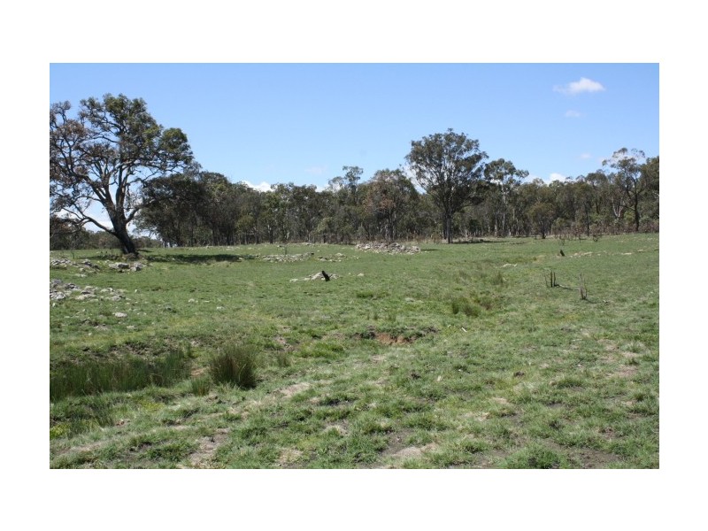 Tenterfield NSW 2372