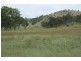 Tenterfield NSW 2372