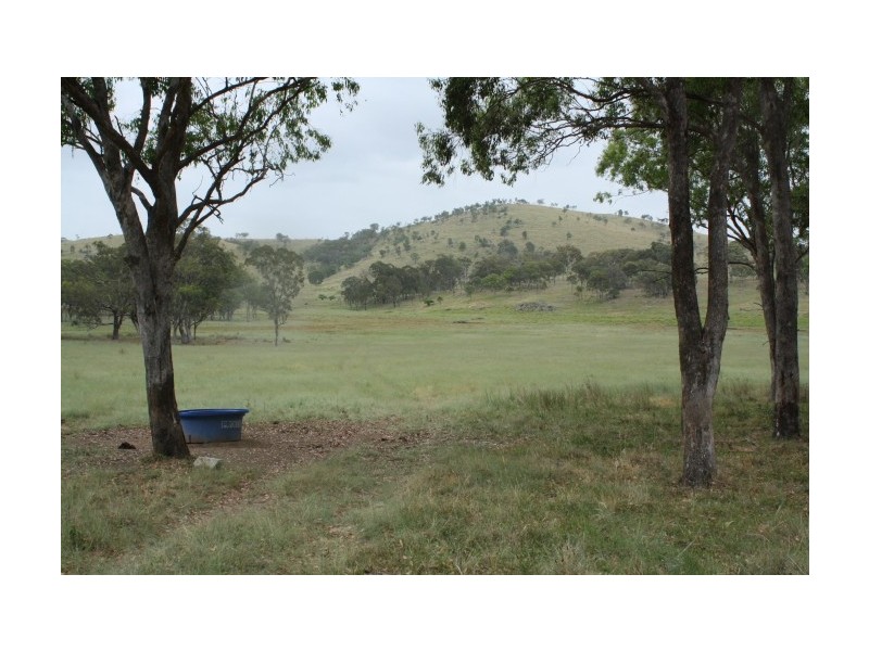 Tenterfield NSW 2372