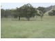 Tenterfield NSW 2372