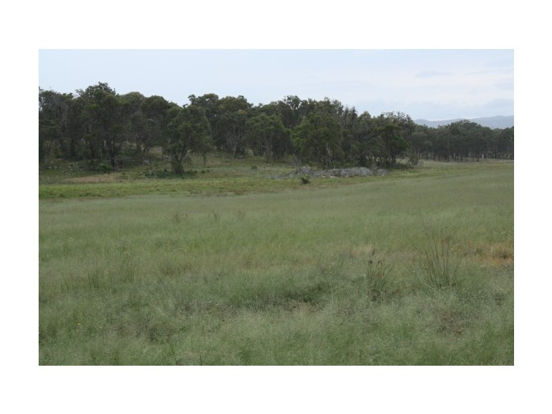 Tenterfield NSW 2372