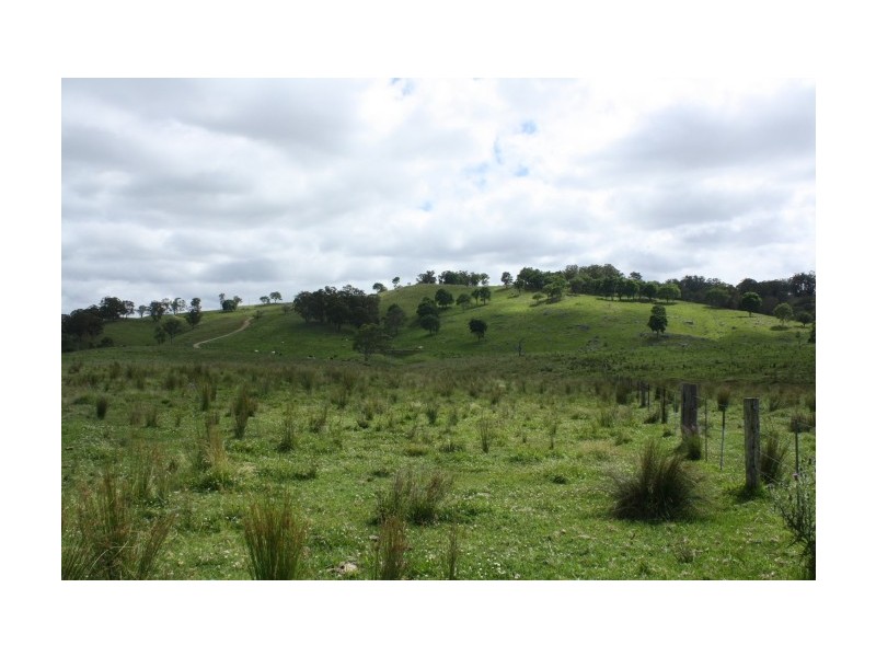 Tenterfield NSW 2372