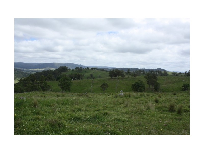 Tenterfield NSW 2372