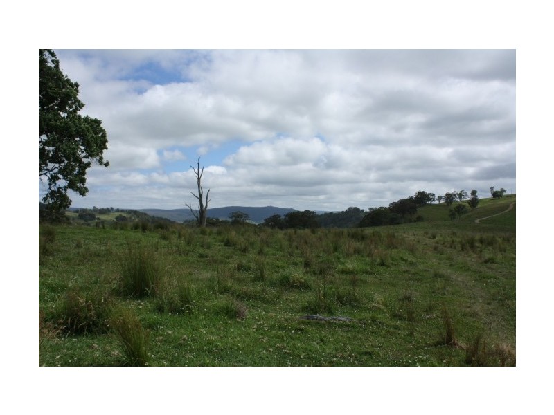 Tenterfield NSW 2372