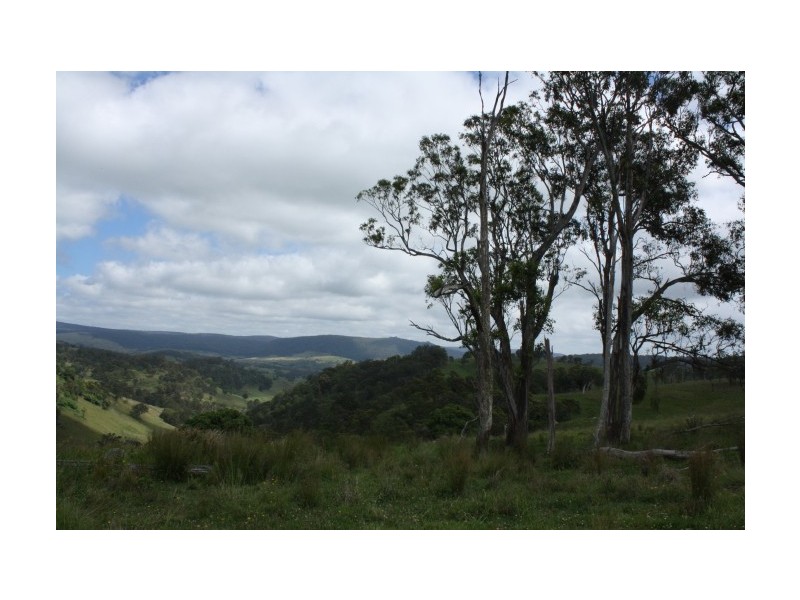 Tenterfield NSW 2372