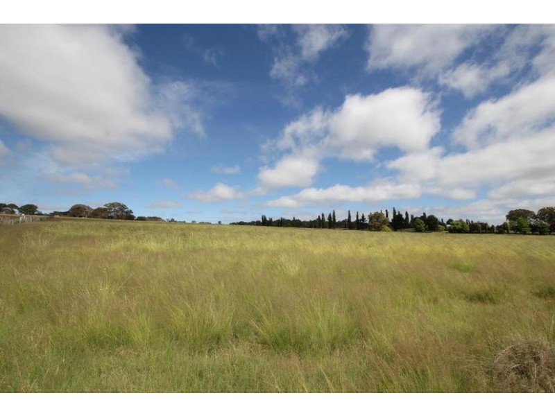 Lot 80,  Molesworth Street, Tenterfield NSW 2372