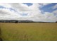 Lot 80,  Molesworth Street, Tenterfield NSW 2372