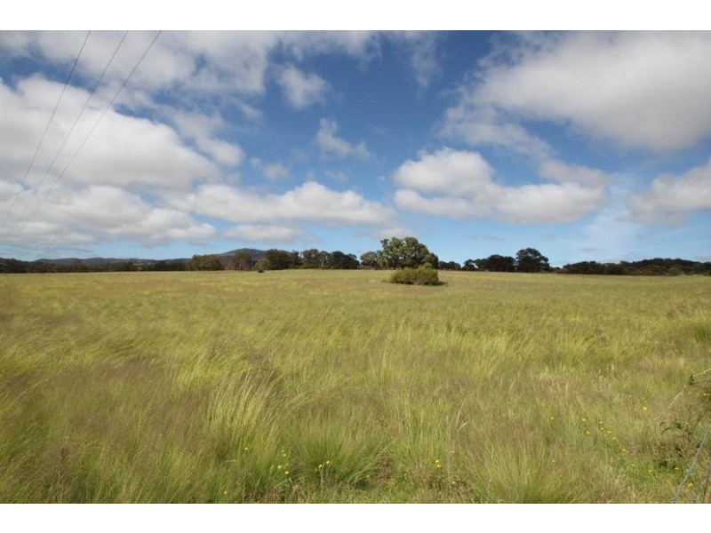 Lot 80,  Molesworth Street, Tenterfield NSW 2372