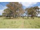 Lot 80,  Molesworth Street, Tenterfield NSW 2372
