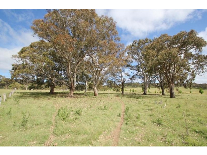 Lot 80,  Molesworth Street, Tenterfield NSW 2372