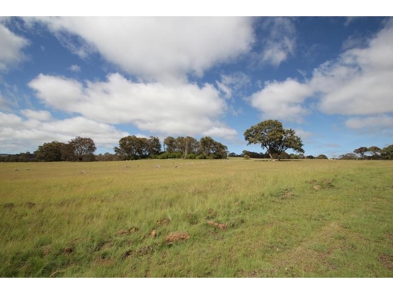 Lot 81,  Neagles Lane, Tenterfield NSW 2372
