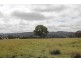 Lot 81,  Neagles Lane, Tenterfield NSW 2372