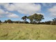 Lot 81,  Neagles Lane, Tenterfield NSW 2372