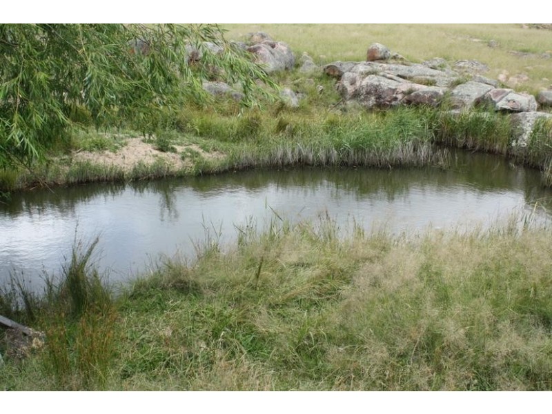 Lot 706, Sunnyside Loop Road, Tenterfield NSW 2372