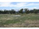 Lot 706, Sunnyside Loop Road, Tenterfield NSW 2372