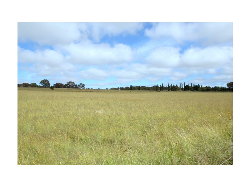 Lot 7,  Western Boundary Road, Tenterfield NSW 2372