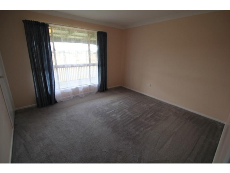 296 New England Highway, Tenterfield NSW 2372